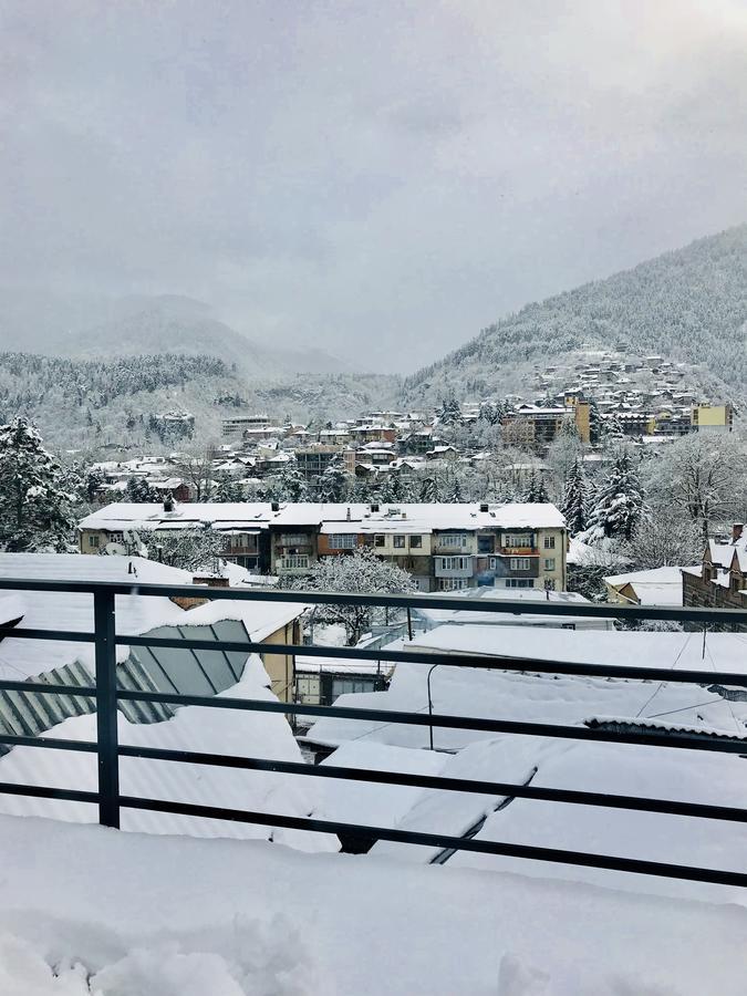 Borjomi Inn Kültér fotó